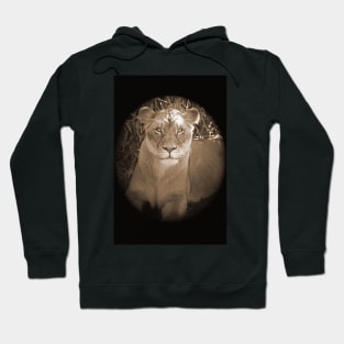 Queen Of The Jungle Hoodie